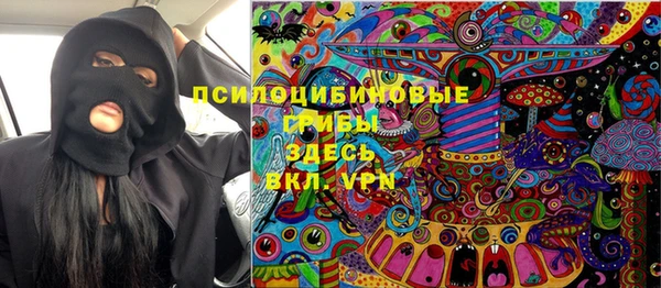 соль ск Алзамай