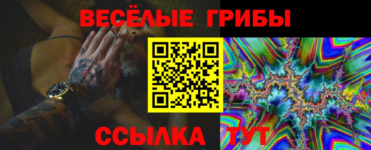 Галлюциногенные грибы GOLDEN TEACHER  Галлюциногенные грибы Magic Shrooms  Вход с VPN  Серов 